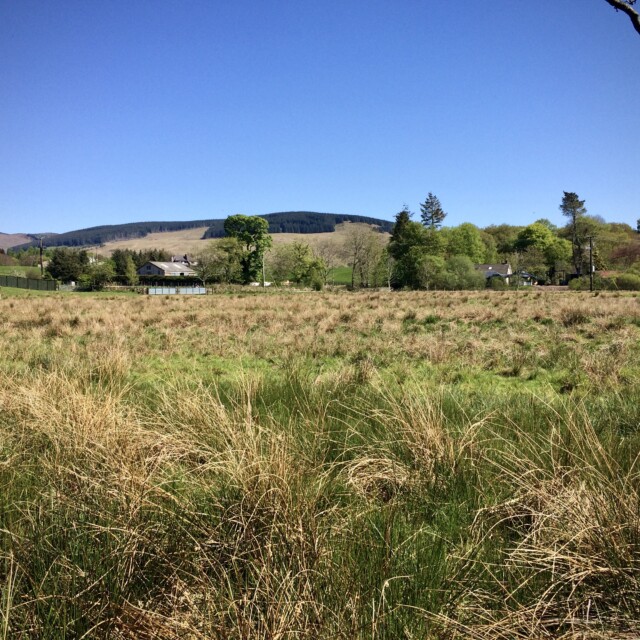 MOffat Distillery - Land before build